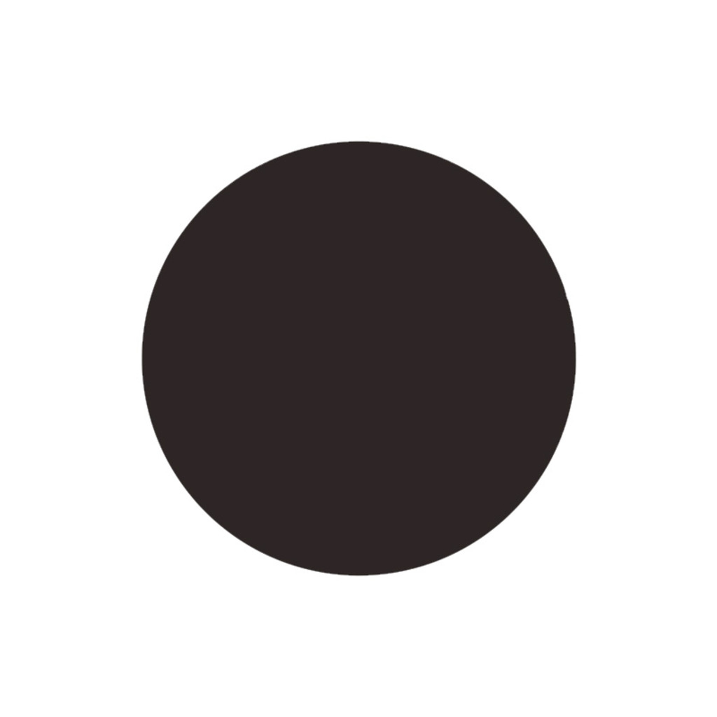 EXTRACTO DE CAFÉ COLD BREW 100ml 2